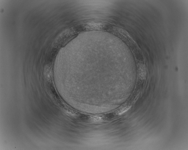 X0000072980701200608211350