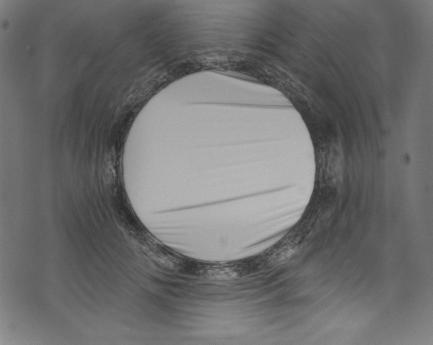 X0000072980702200608211350