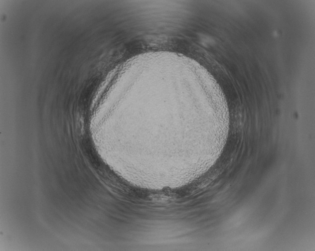 X0000072980703200608211350