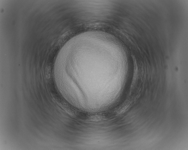 X0000072980708200608211350