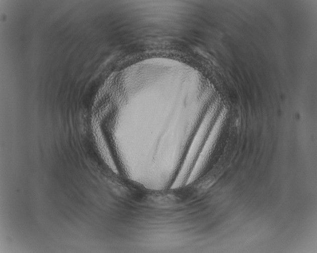 X0000072980712200608211350