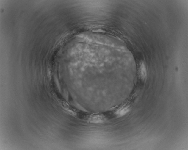 X0000072980716200608211350