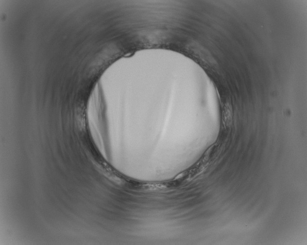 X0000072980719200608211349