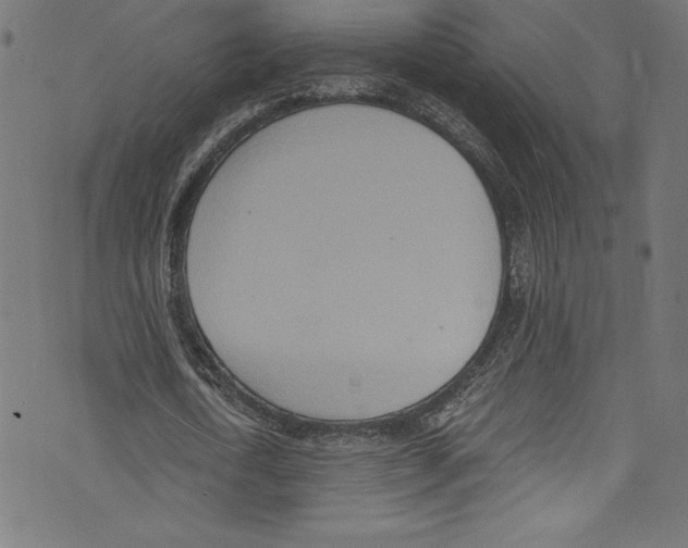 X0000072980722200608211349