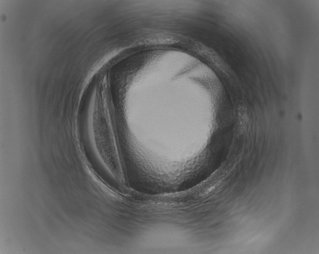 X0000072980726200608211349