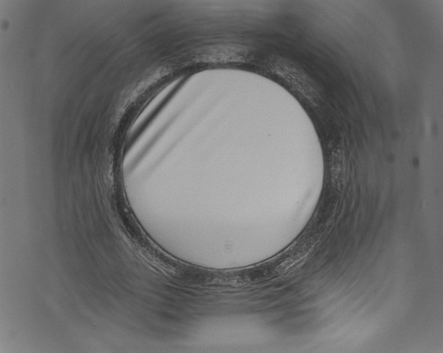 X0000072980727200608211349