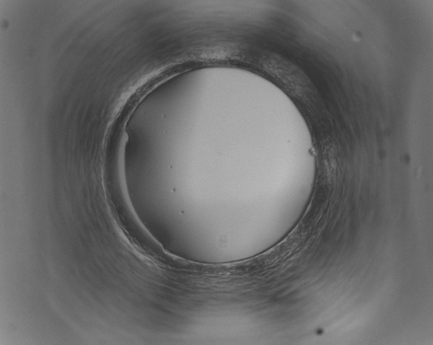 X0000072980728200608211349