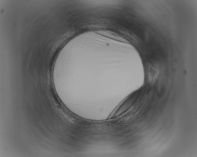 X0000072980729200608211349