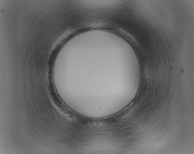 X0000072980730200608211349