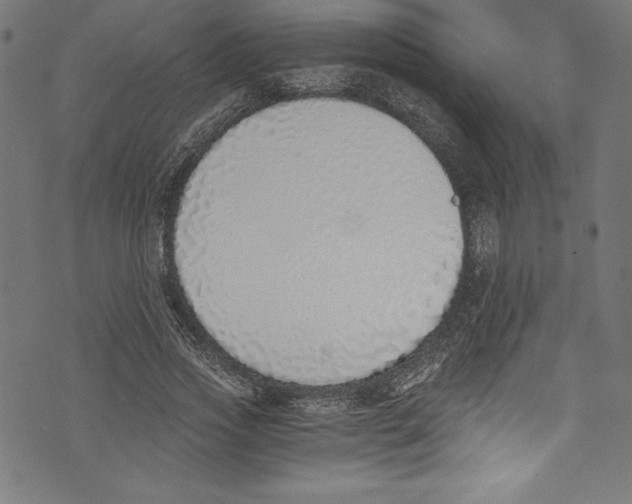 X0000072980733200608211349