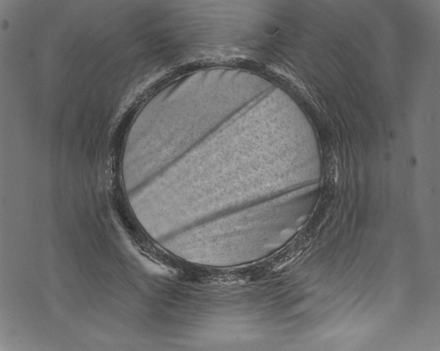 X0000072980736200608211349