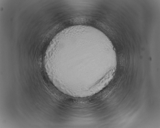 X0000072980737200608211349