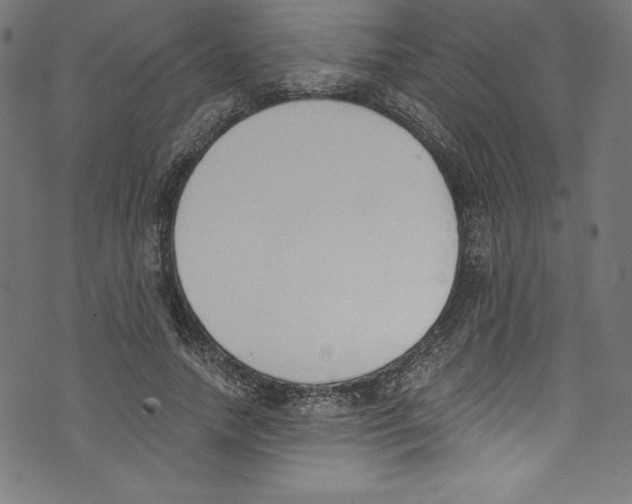 X0000072980738200608211349