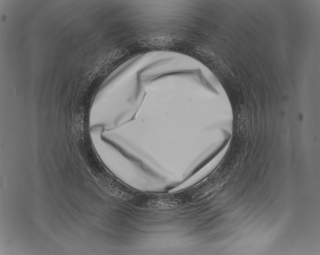 X0000072980739200608211349