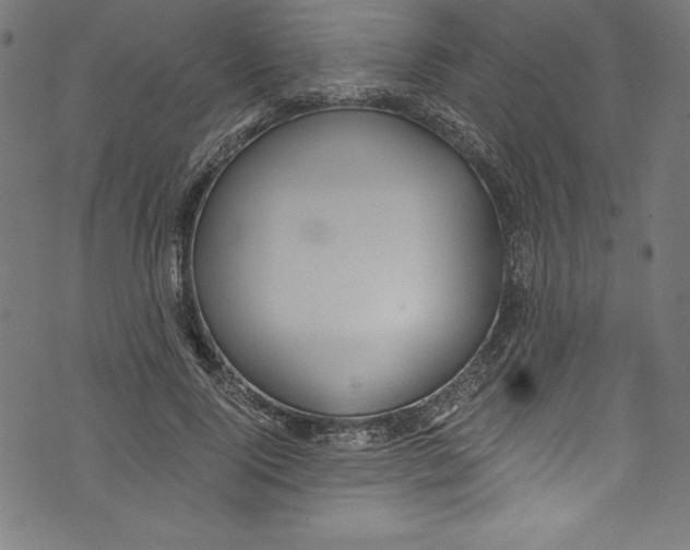 X0000072980740200608211349