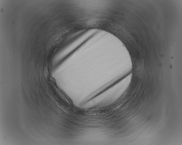 X0000072980746200608211349