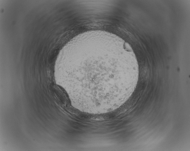 X0000072980749200608211349