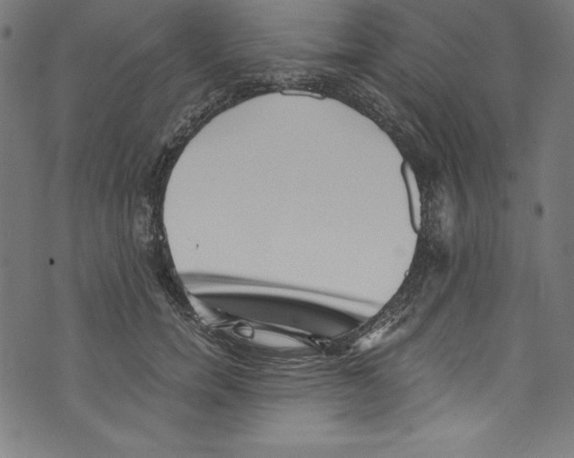 X0000072980750200608211349