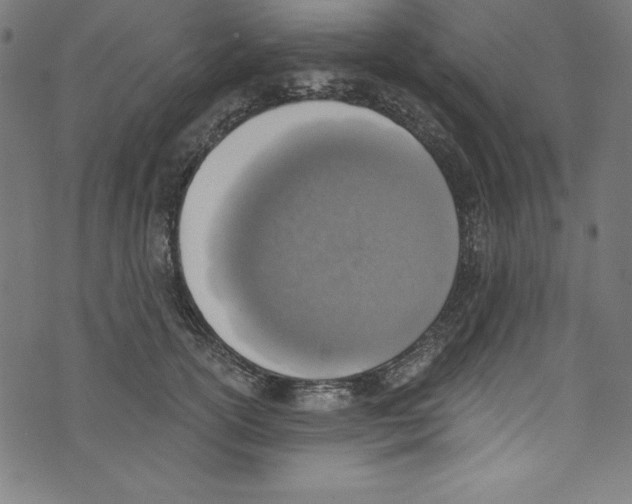 X0000072980754200608211349