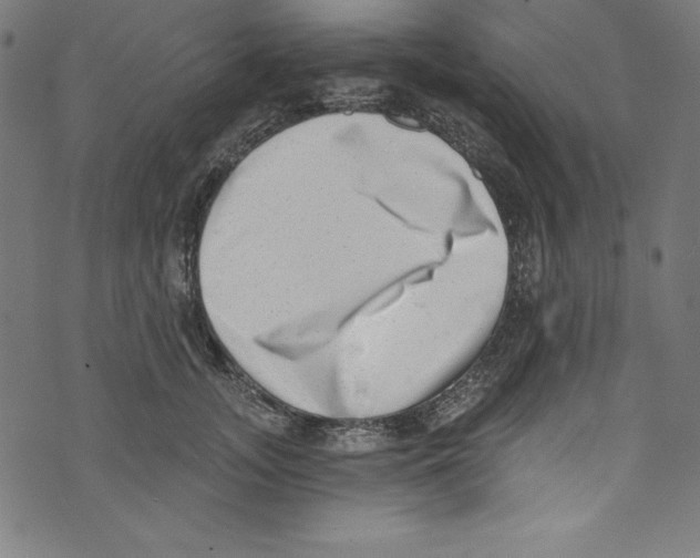 X0000072980755200608211349