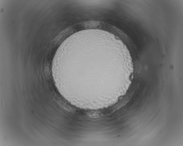 X0000072980761200608211349