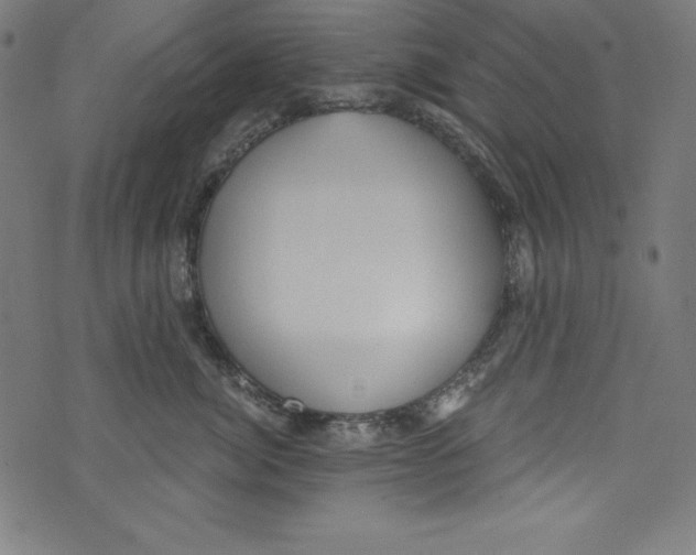 X0000072980764200608211349