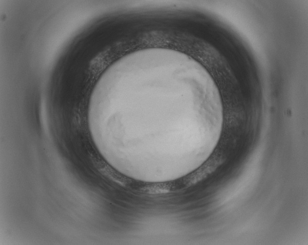 X0000072980765200608211349