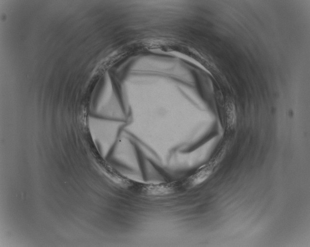X0000072980766200608211349