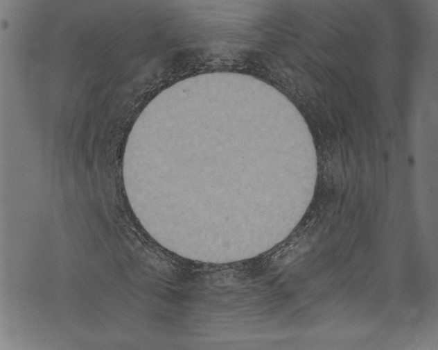 X0000072980769200608211349