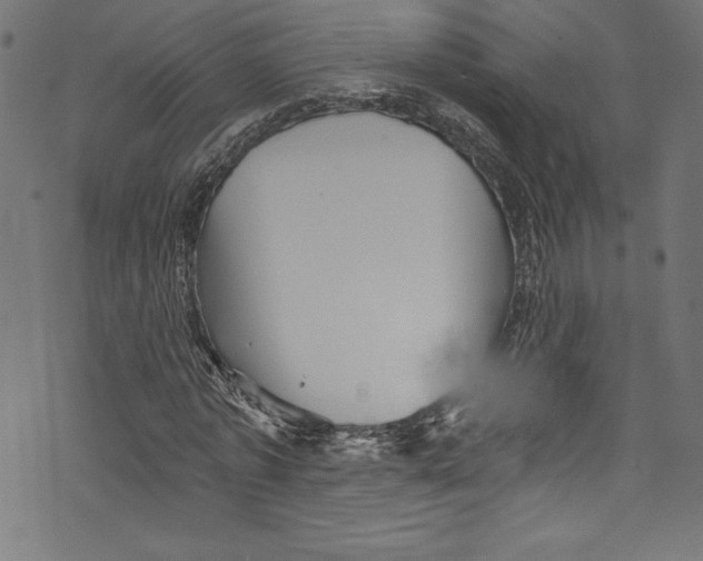 X0000072980773200608211349