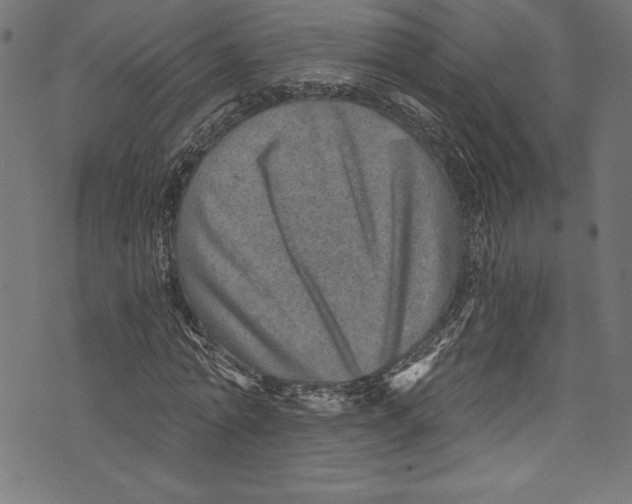 X0000072980774200608211349