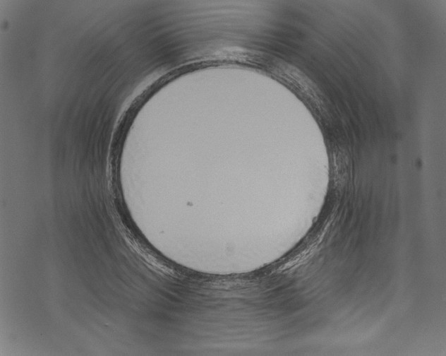 X0000072980780200608211348