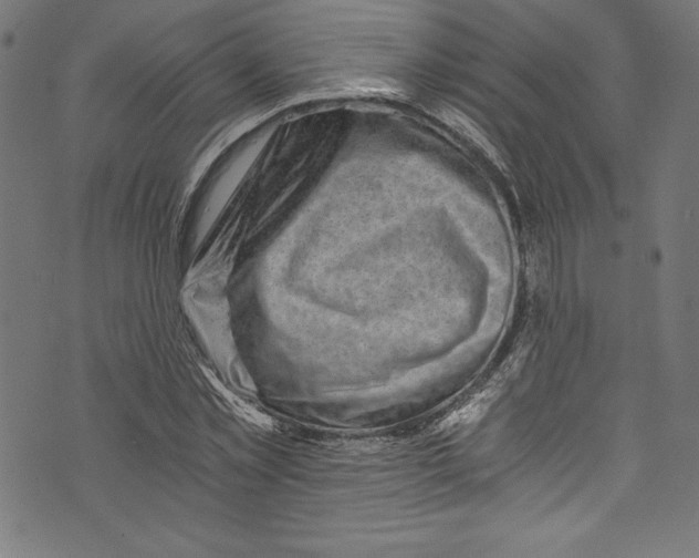 X0000072980781200608211348