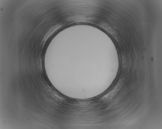 X0000072980782200608211348