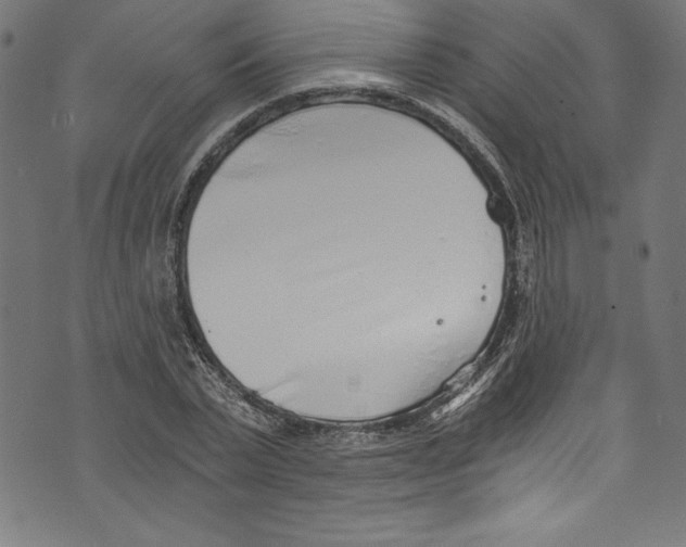 X0000072980783200608211348