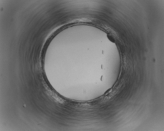 X0000072980784200608211348