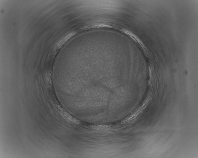 X0000072980785200608211348