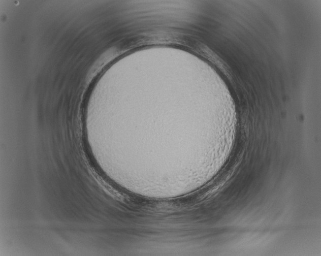 X0000072980787200608211348