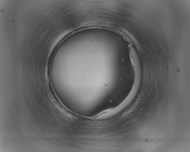 X0000072980788200608211348