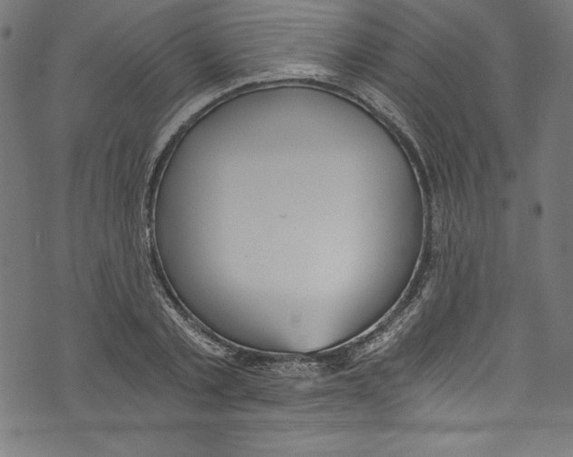 X0000072980789200608211348