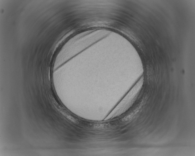 X0000072980790200608211348