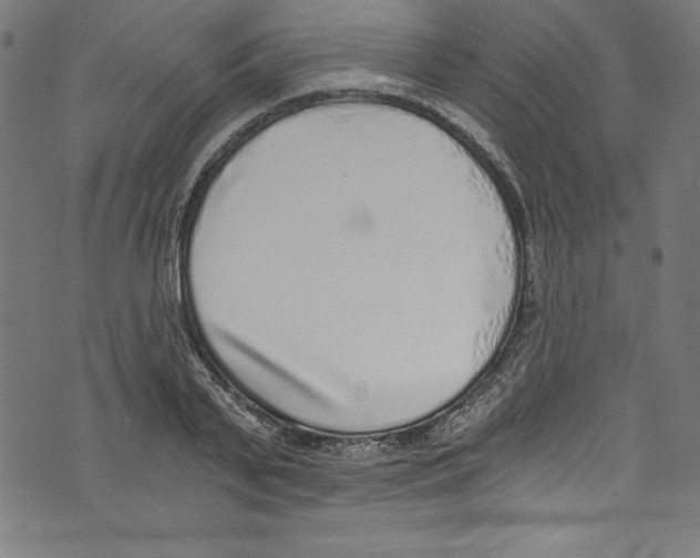 X0000072980791200608211348