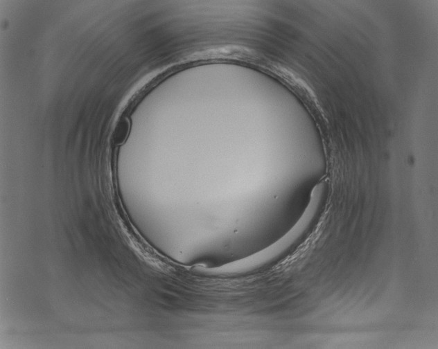 X0000072980792200608211348