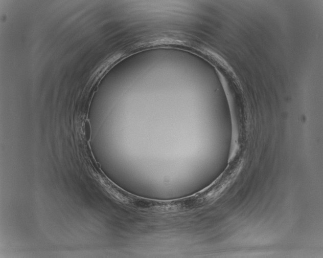 X0000072980793200608211348