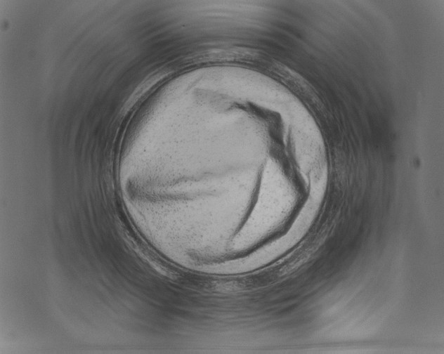 X0000072980794200608211348