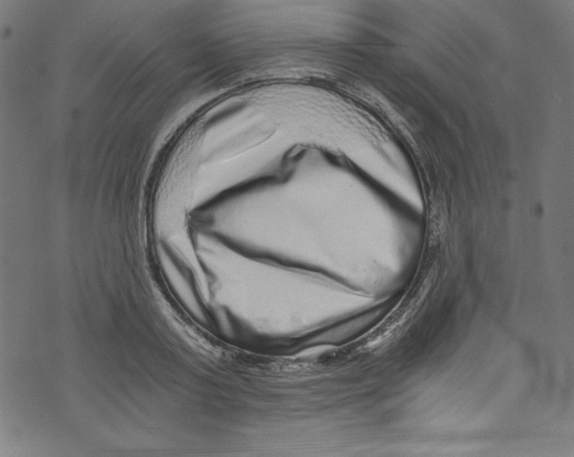 X0000072980795200608211348