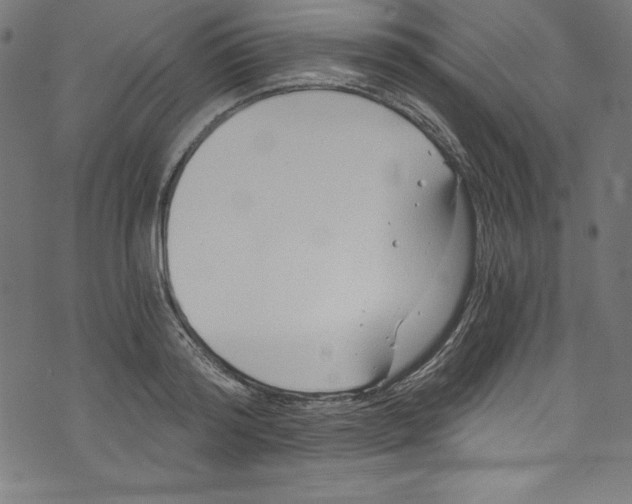 X0000072980796200608211348