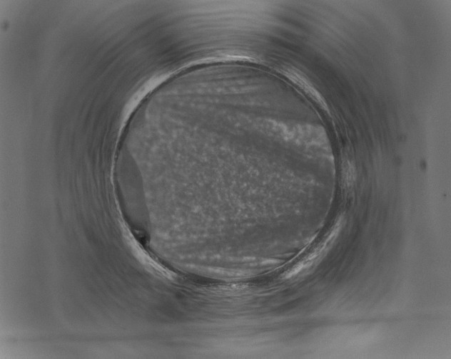 X0000072980797200608211348