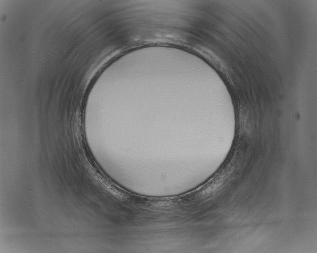 X0000072980798200608211348