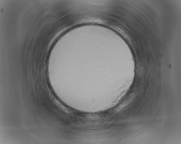 X0000072980799200608211348